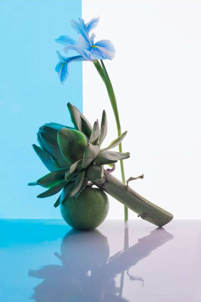 Still life with artichoke and apple, illuminated by blue and white light. The composition also features a blue iris.