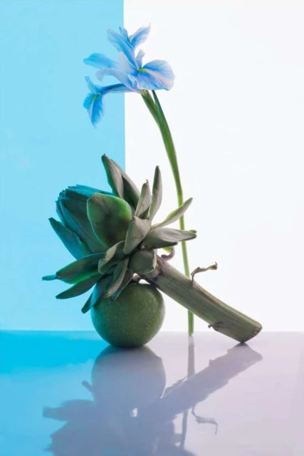 Still life with artichoke and apple, illuminated by blue and white light. The composition also features a blue iris.