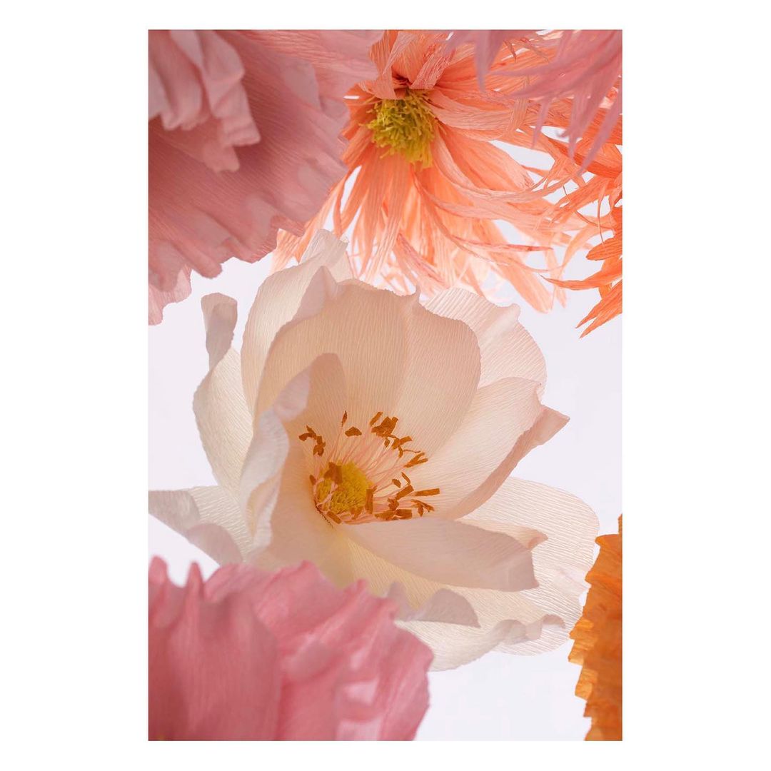 Artistic close-up of handmade paper flowers in pastel colors, including pink, peach, and white, against a bright, soft white backdrop.