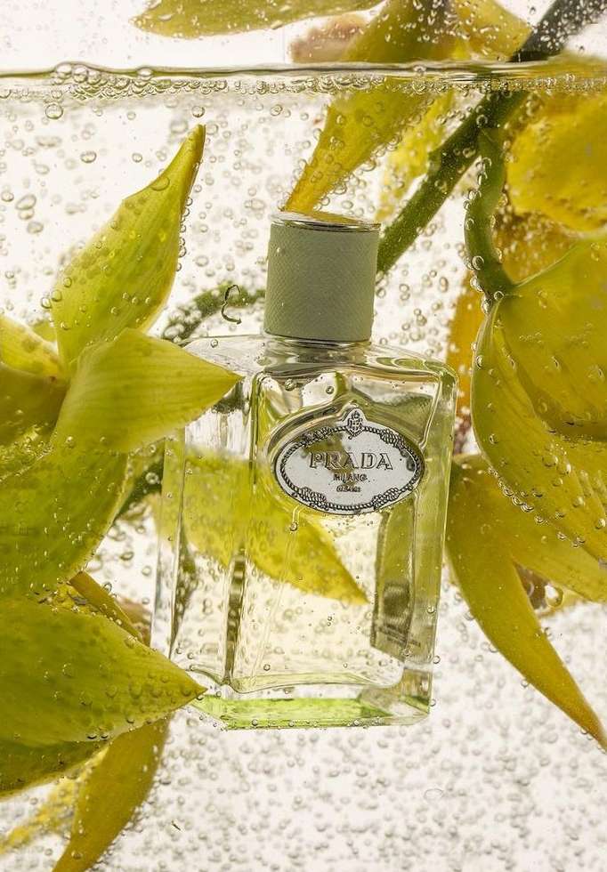 Close-up studio shot of Prada perfume bottle with green cap and label, surrounded by yellow orchid flowers and water bubbles.