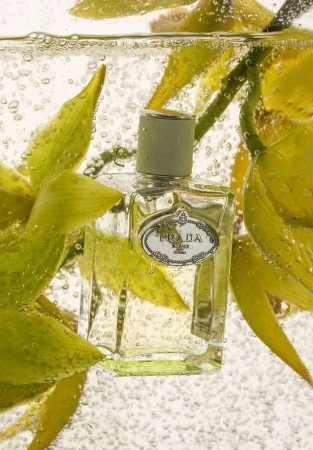 Close-up studio shot of Prada perfume bottle with green cap and label, surrounded by yellow orchid flowers and water bubbles.