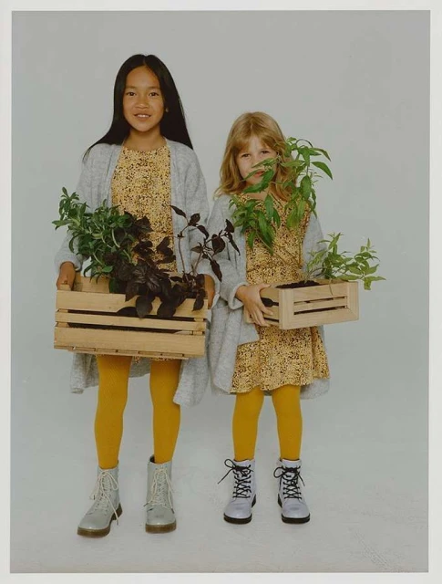 Two young girls in matching dresses and yellow tights holding wooden crates with plants in a photo studio setting with a soft light.