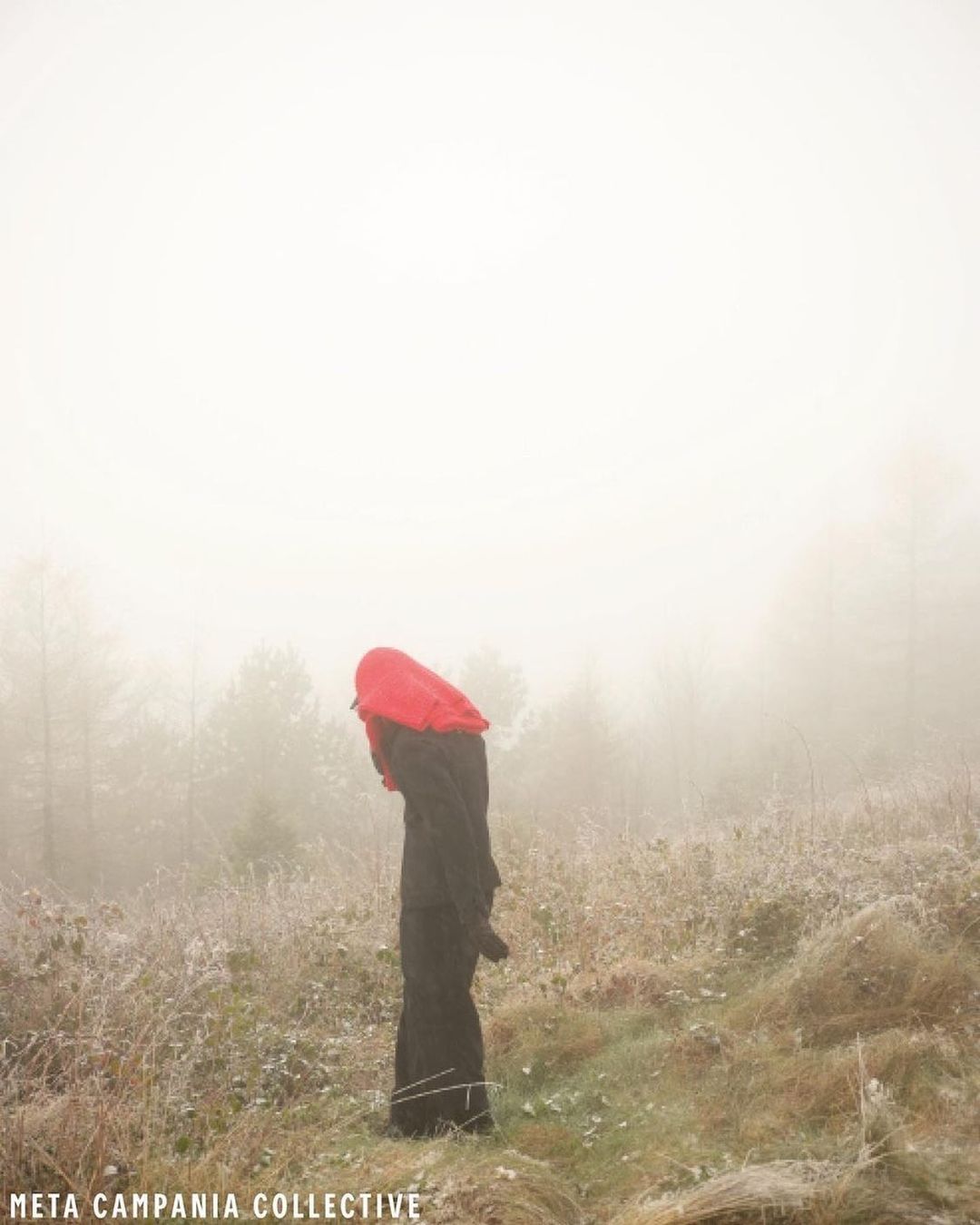 Person in a red hood and black robe stands on a grassy hillside in fog with a forest in the background in a landscape orientation.