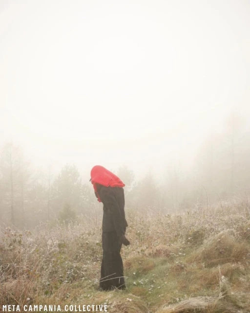Person in a red hood and black robe stands on a grassy hillside in fog with a forest in the background in a landscape orientation.