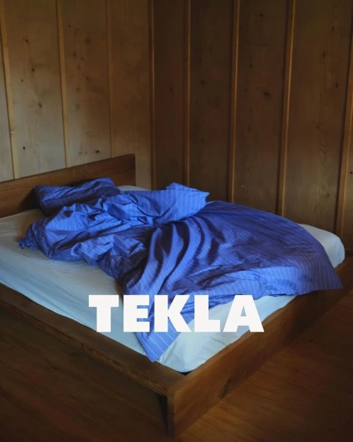 Minimalist bedroom interior featuring a simple wood bed frame, blue striped bedding, and natural wood paneling on the walls. 