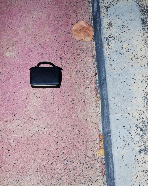 Black leather handbag sitting on pink-toned asphalt surface, adjacent to a concrete curb and a dried leaf.