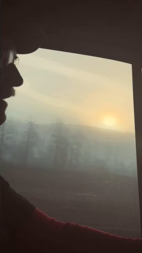 Silhouette of a person looking out of a car window at a foggy sunrise, featuring trees in the background. The scene is shrouded in mist.