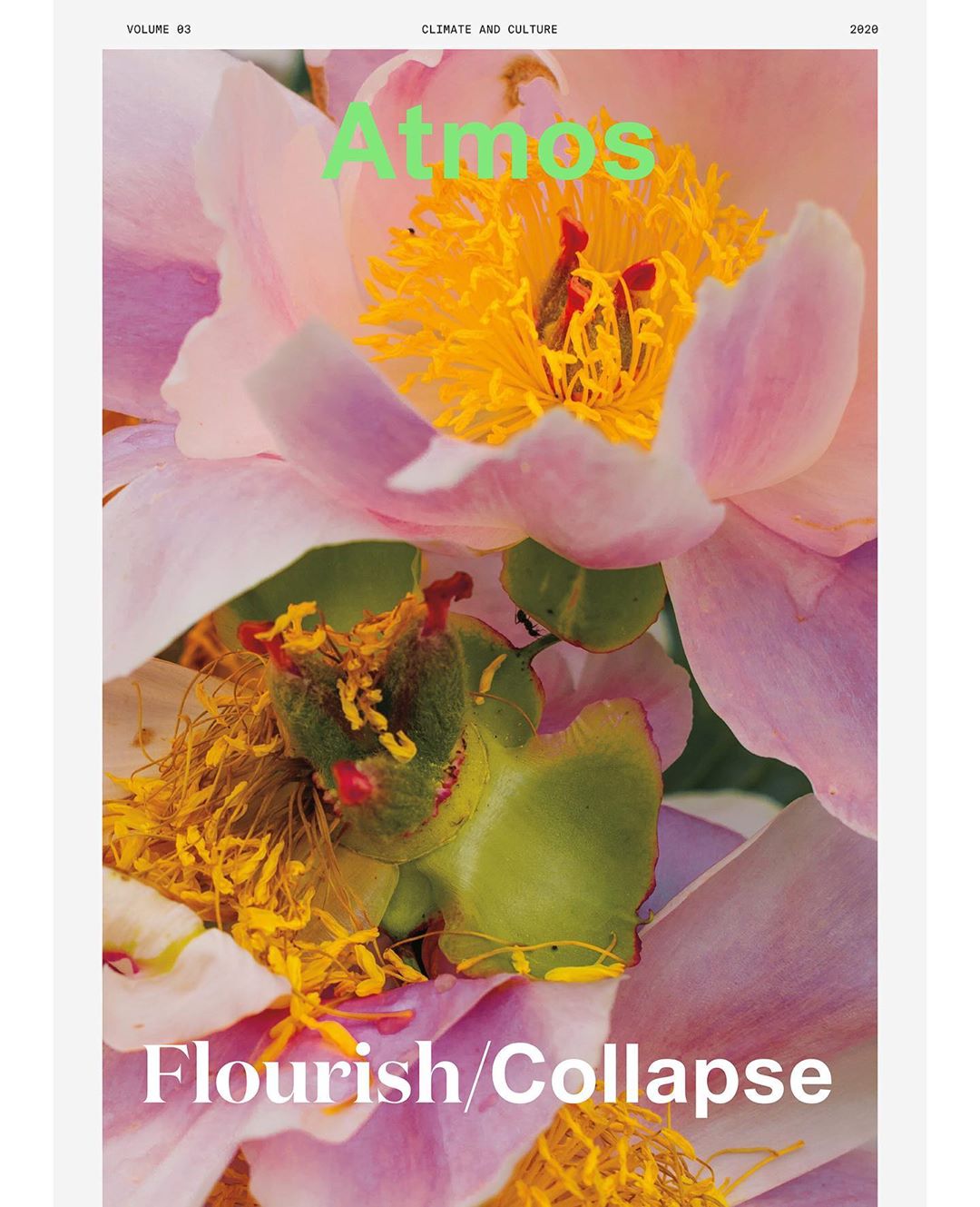 Magazine cover featuring pink and yellow peonies, 'Atmos' in green text, and 'Flourish/Collapse' at the bottom. Climate and culture theme.