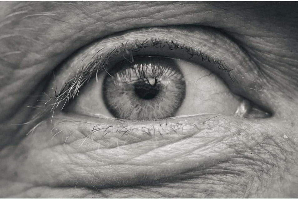 Close-up shot of an elderly person's eye displaying fine wrinkles, skin texture, and eyelashes, all in grayscale. Intimate portrait.