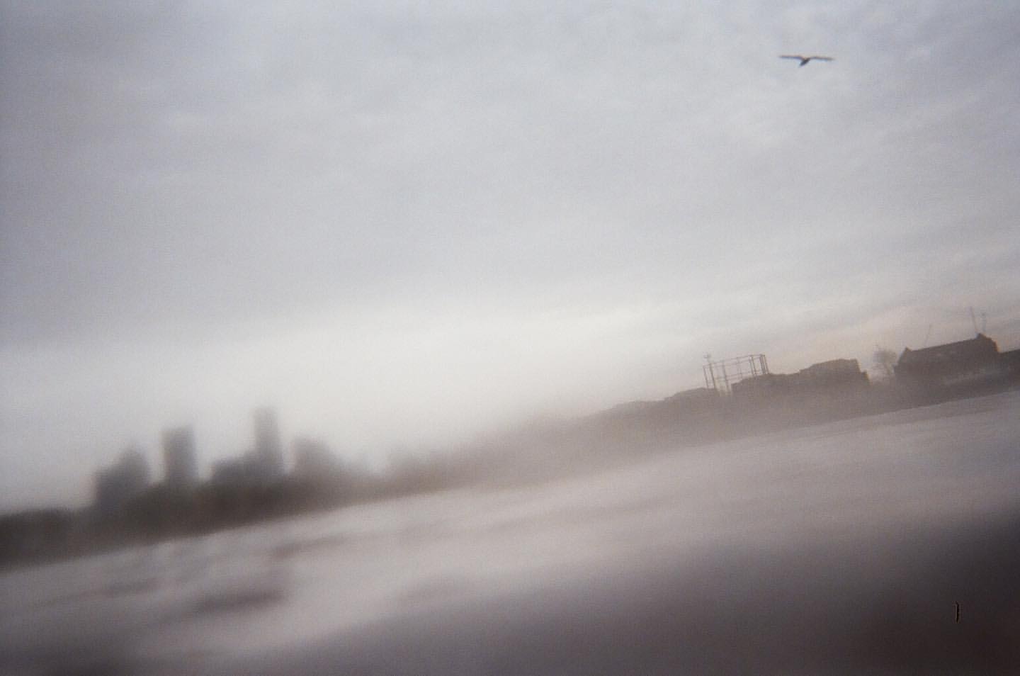 Fog-covered landscape with silhouetted buildings in the distance and a bird flying overhead, creating a mysterious and serene atmosphere.