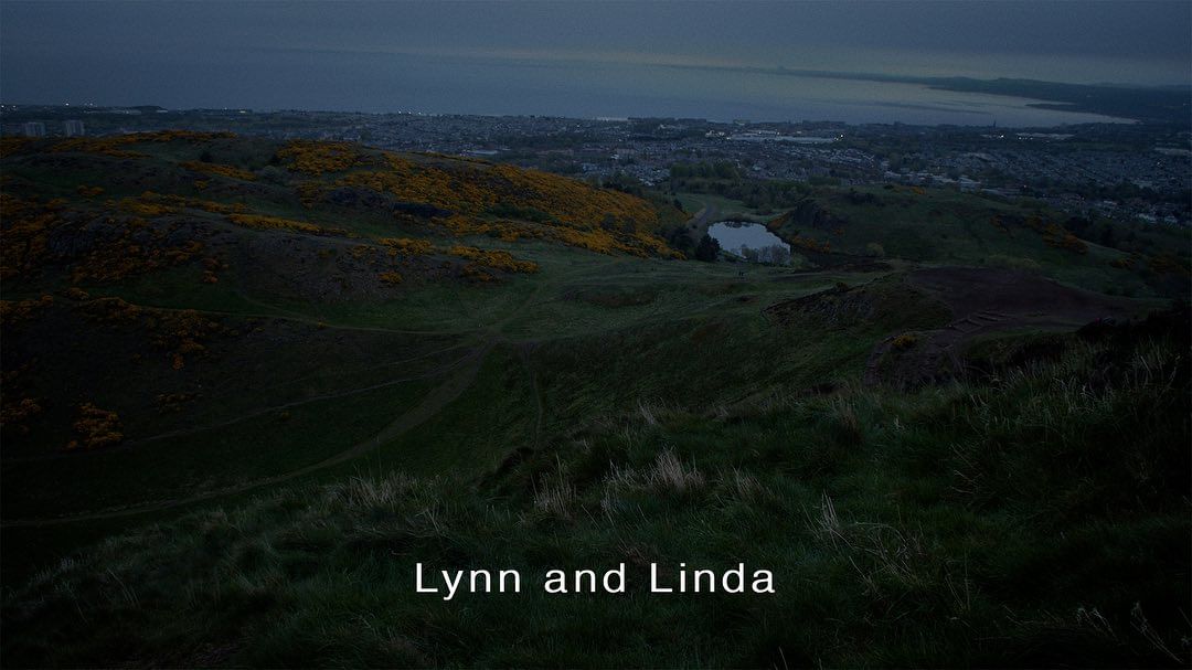 Green hills with yellow gorse overlook a city and bay under a dusk sky in a landscape photo taken from a high angle.
