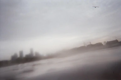 An atmospheric, motion-blurred view of a city skyline under a grey overcast sky with a single bird flying above.