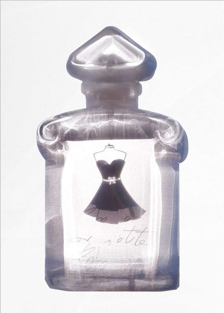 Elegant perfume bottle with a dress illustration on the label, captured in bright lighting and a minimalist aesthetic.