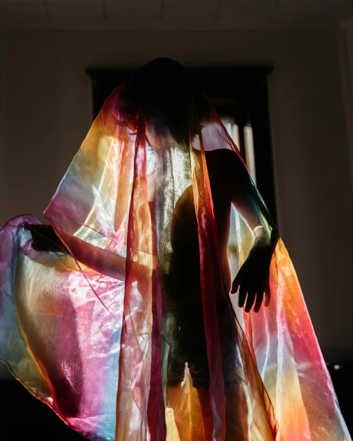Person draped in a colorful, translucent fabric stands indoors near a window with sunlight creating strong shadows and highlights.