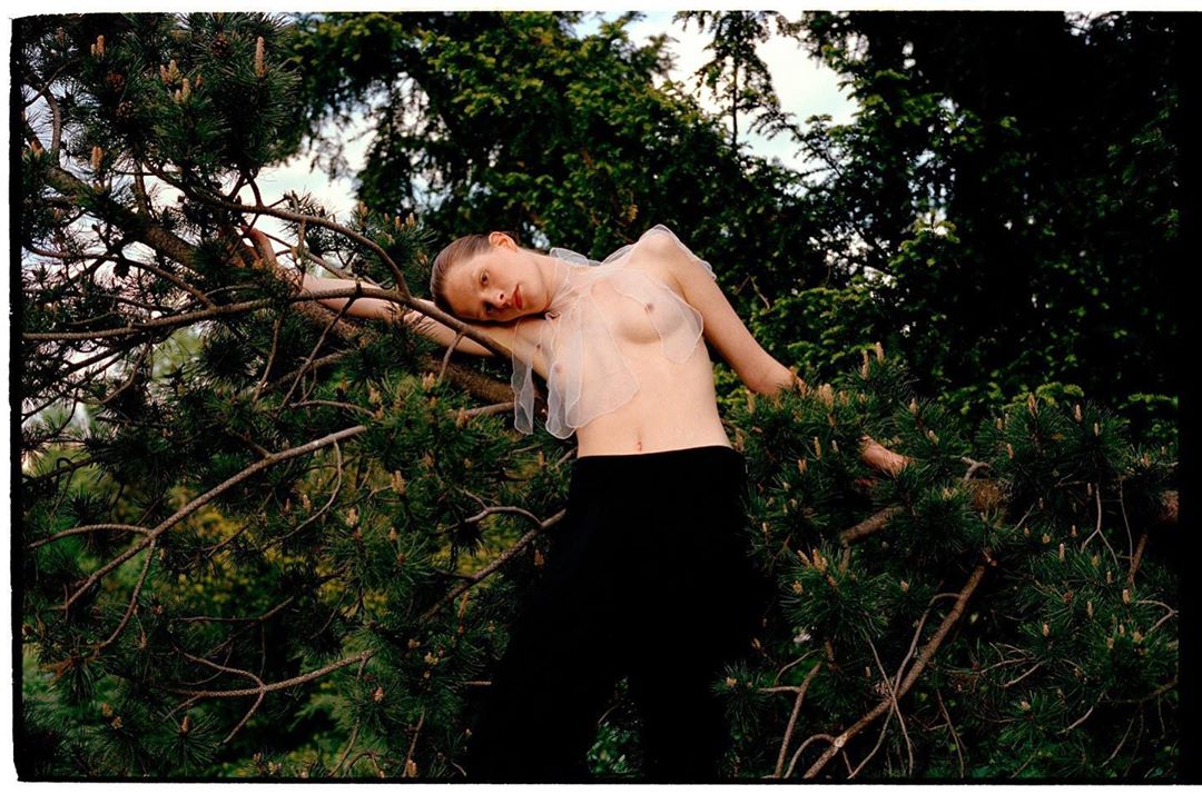 Young woman in sheer top poses among pine tree branches, with lush green forest foliage creating a vibrant, natural backdrop.