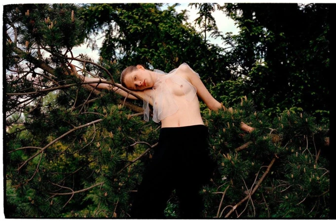 Young woman in sheer top poses among pine tree branches, with lush green forest foliage creating a vibrant, natural backdrop.