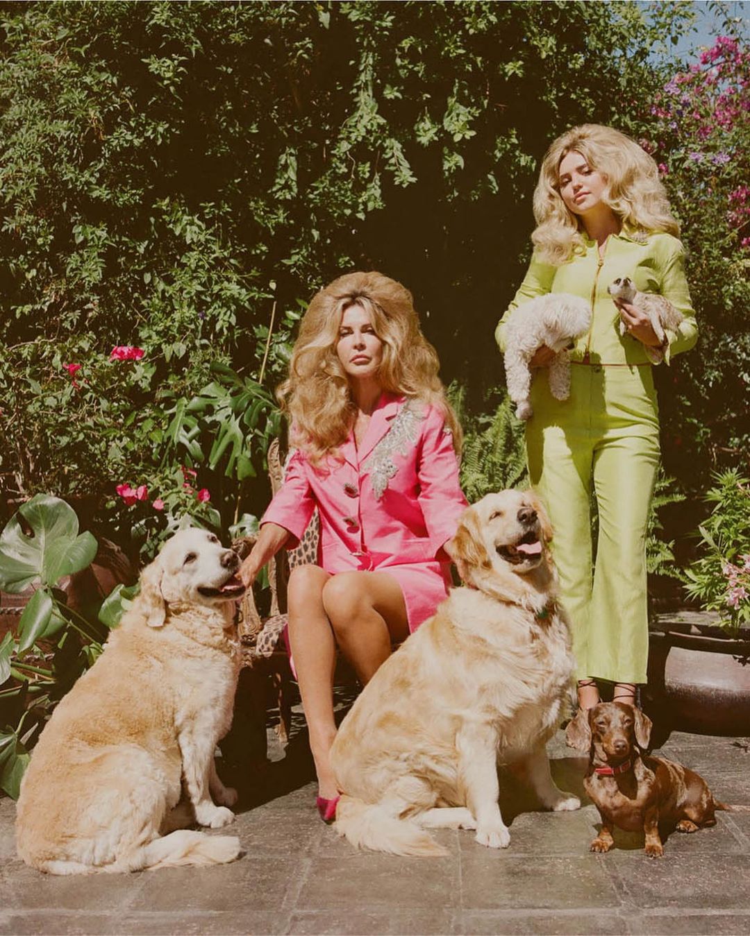 Two adult women pose with dogs in a verdant outdoor setting, showcasing golden retrievers, a dachshund, and a small white dog.