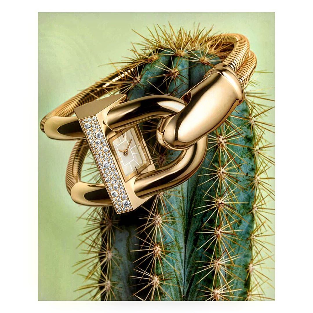 Gold wristwatch with diamond accents is placed on a green cactus in a studio setup against a light green backdrop, product shot.