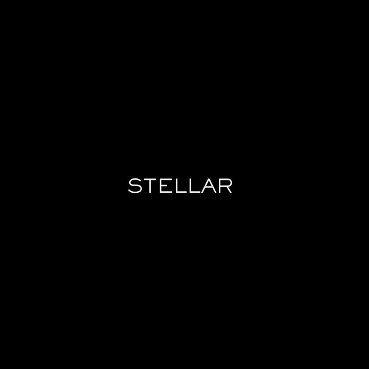 Minimalist image with the word 'STELLAR' centered in white against a solid black background, creating a stark contrast.