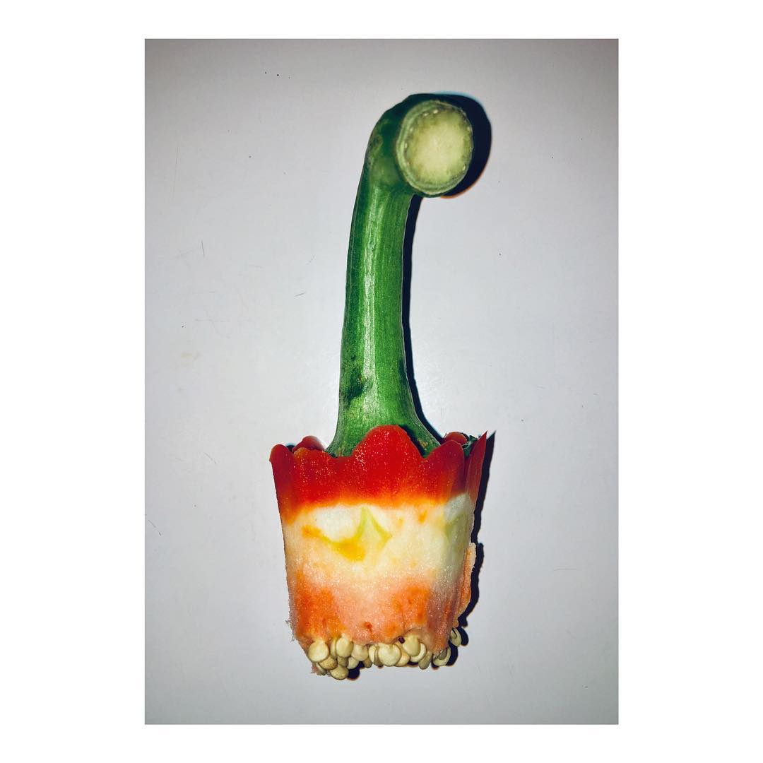 Cross section of a vibrant chili pepper shows red, orange, and yellow flesh with green stem, against a plain white background.