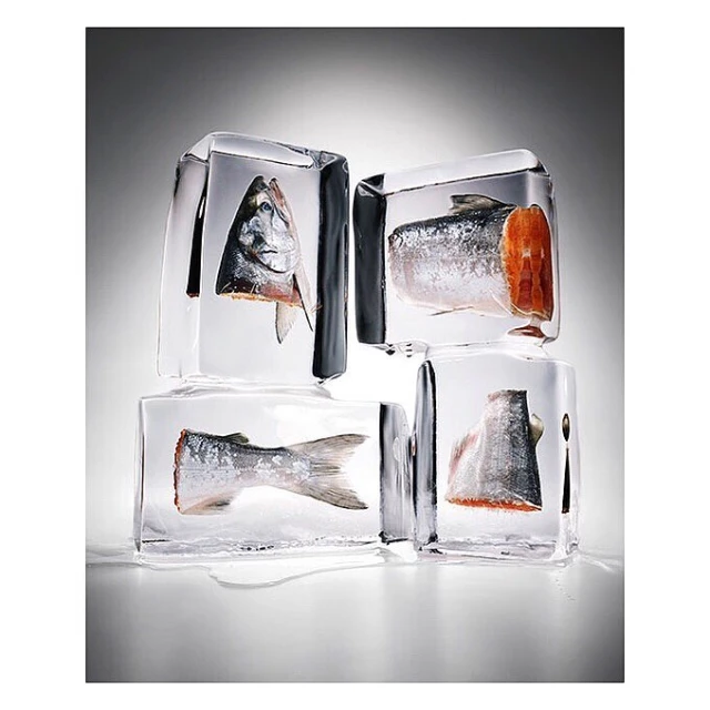Four clear ice cubes encase pieces of raw salmon, displayed against a gradient gray background with soft lighting in a studio.