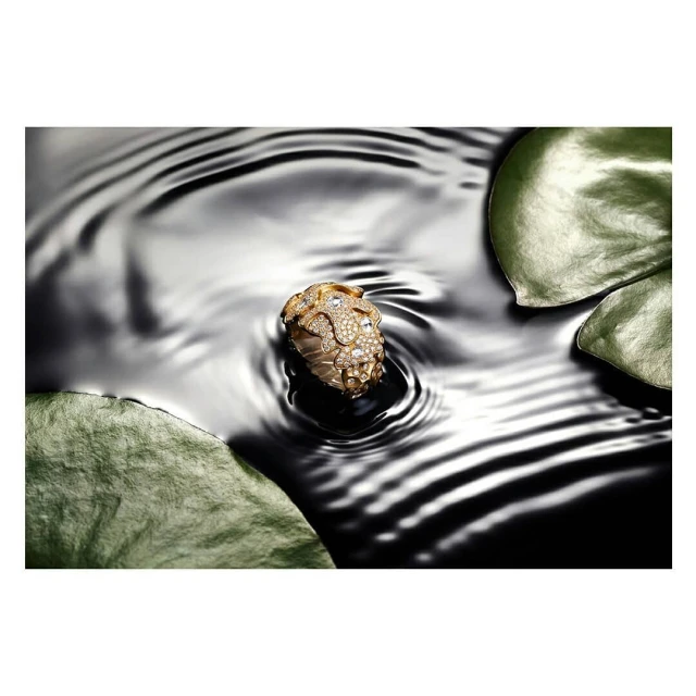 Close-up of a gold and diamond ring in rippling water with lily pads, highlighting jewelry and natural elegance for high-end product advertising.