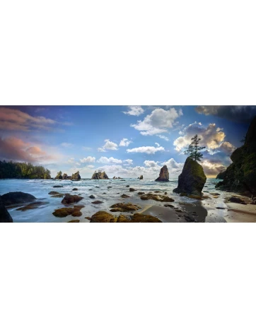 Stephen Wilkes