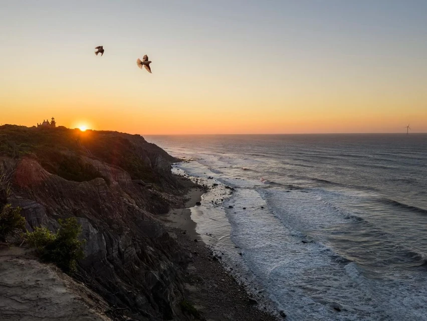 Coastal scene at sunrise featuring two birds flying over a cliffside, with waves crashing on a beach and a windmill in the distance.
