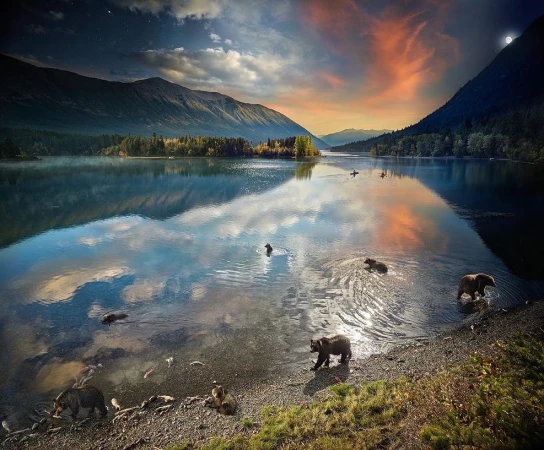 Scenic view of bears in a lake surrounded by mountains and forests under a sky with both sunset and nighttime elements.