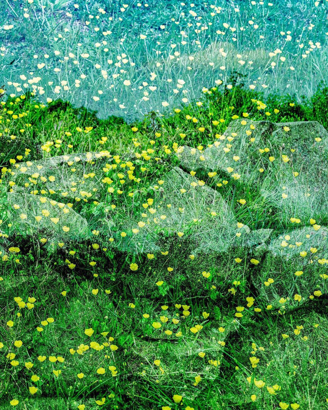 Illustration of a vibrant green meadow with yellow and white flowers, set against a teal and blue sky, creating a serene and colorful scene.