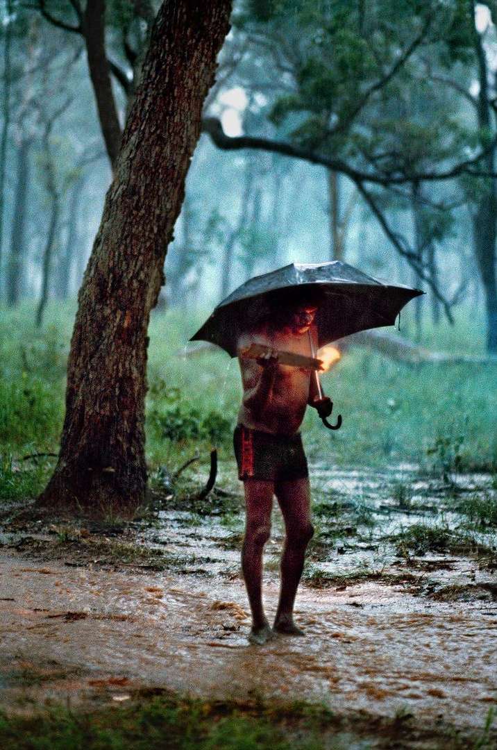 Person with an umbrella walks on a wet path in a forest during a heavy downpour, surrounded by lush greenery and tall trees.