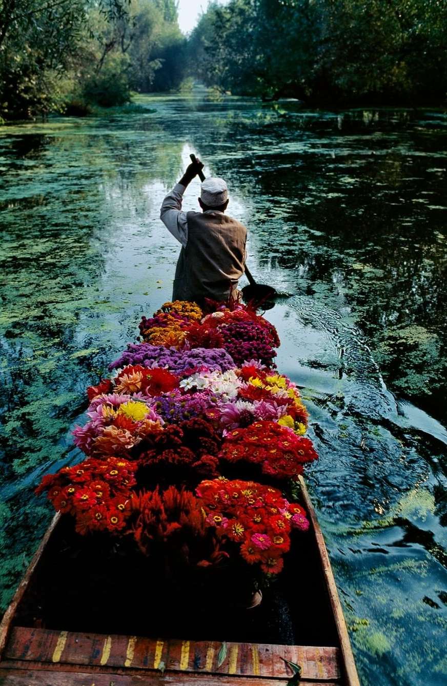 Back view of an adult in a boat filled with red, pink, and purple flowers, rowing on a river through green, lush vegetation.