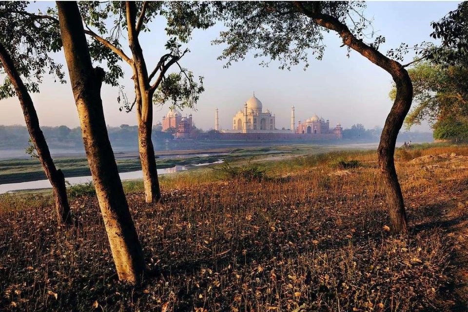 Taj Mahal view framed by trees in India with river. The historical mausoleum is captured in natural light with trees in the foreground.