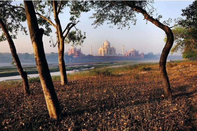 Taj Mahal view framed by trees in India with river. The historical mausoleum is captured in natural light with trees in the foreground.