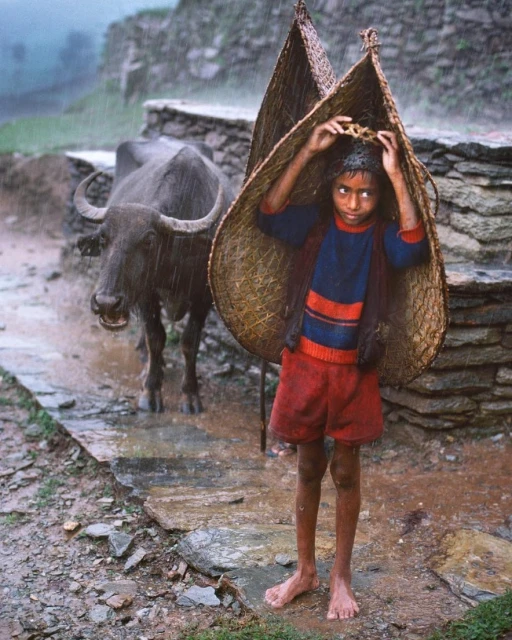 Young child stands barefoot in the rain with a large woven basket on their back, while a water buffalo stands in the background.