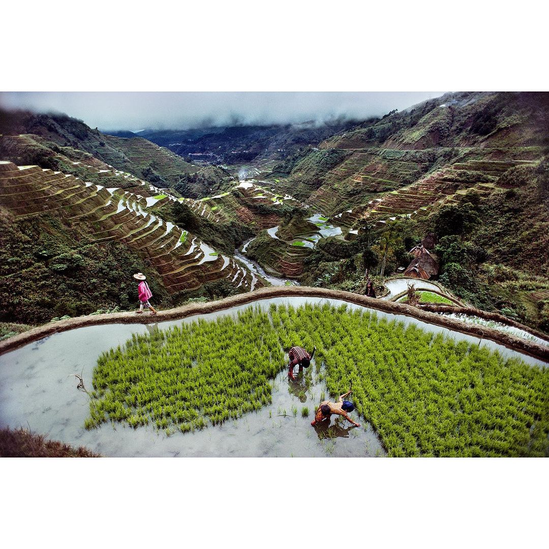 Scenic view of rice terraces with three people working in the water, another walking on the terrace, and mountains in the background under a cloudy sky.