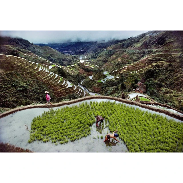 Scenic view of rice terraces with three people working in the water, another walking on the terrace, and mountains in the background under a cloudy sky.