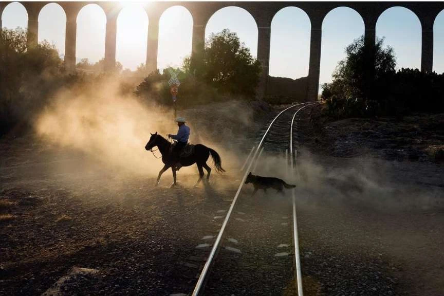 Person on horseback riding along railroad tracks with a dog running next to the horse, set against a stone aqueduct and dusty light.