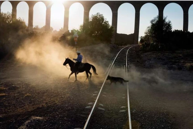 Person on horseback riding along railroad tracks with a dog running next to the horse, set against a stone aqueduct and dusty light.