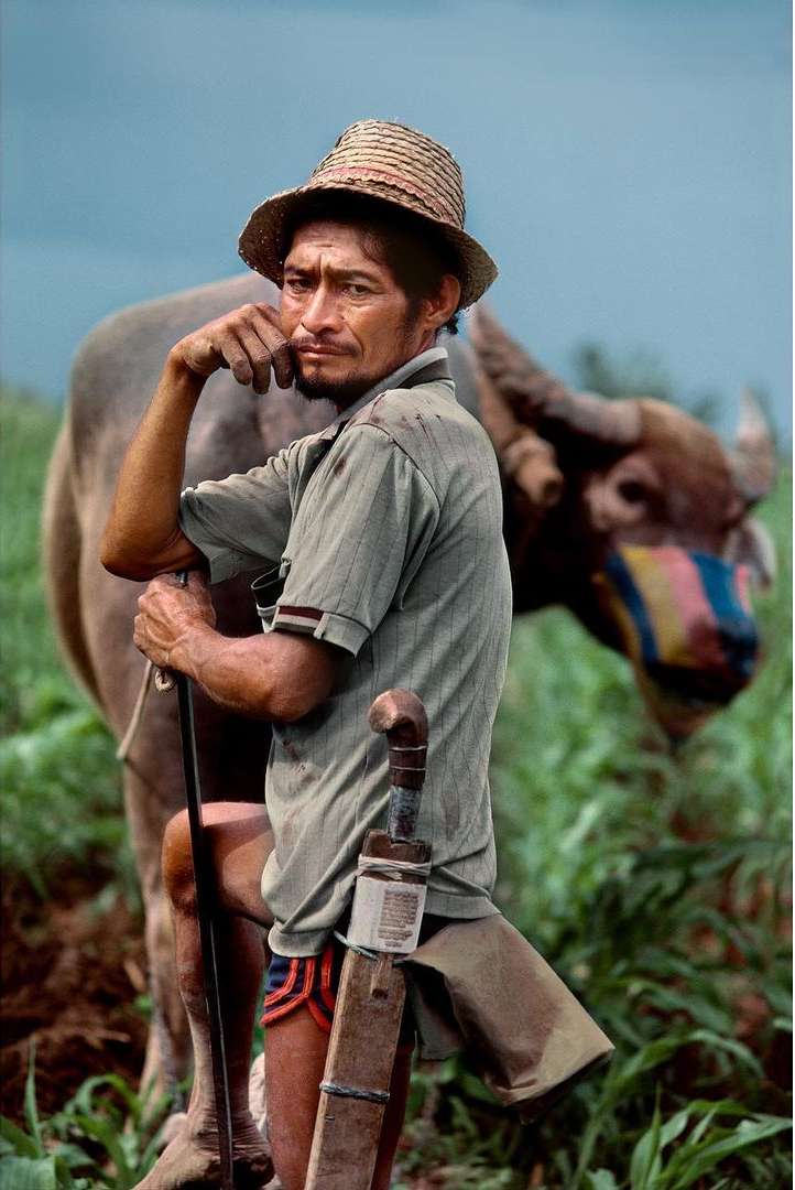 Man in straw hat poses with carabao (water buffalo) in a field, holding a walking stick and machete, under an overcast sky.