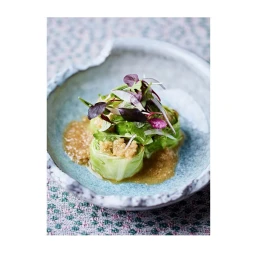 Plated dish of rolled green cabbage leaves with microgreens and savory sauce in a speckled ceramic bowl on a patterned surface