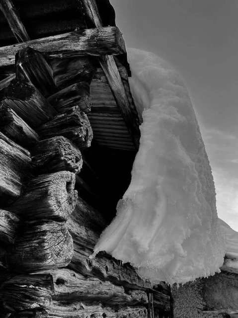 Black and white image showcases a rustic log cabin detail with a large snow drift cascading from its roof against a light sky.