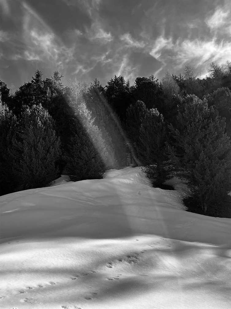 Monochrome landscape with sun rays shining through a forest of trees on a snow-covered hill under a cloudy sky, creating a dramatic scene.