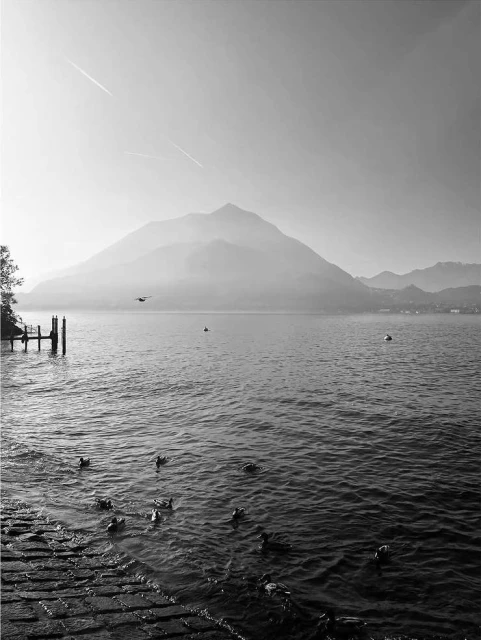 Black and white landscape of a lake with ducks swimming near a stone shoreline, mountain in the background, pier to the left.