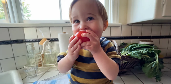 A toddler in a striped shirt playfully holds a red tomato near their mouth inside a kitchen with white tiled walls.