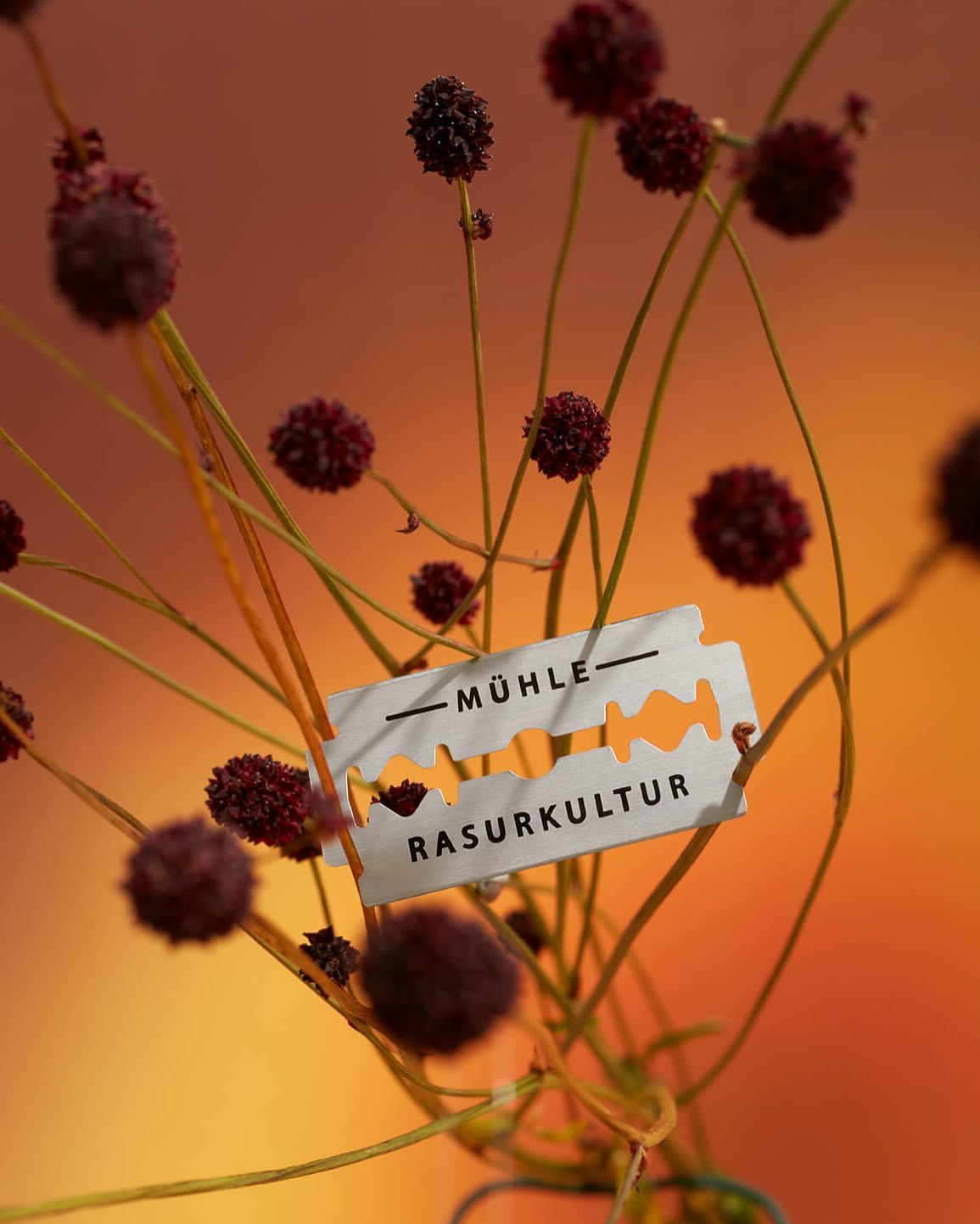 Razor blade and flower blossoms combine in a still life against an orange and brown gradient background, emphasizing razor brand.