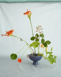 An asymmetrical floral arrangement of bright orange daylilies and green foliage in a blue pedestal bowl on a pale backdrop.