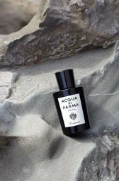 Acqua di Parma Colonia Essenza perfume bottle resting on textured grey rocky terrain