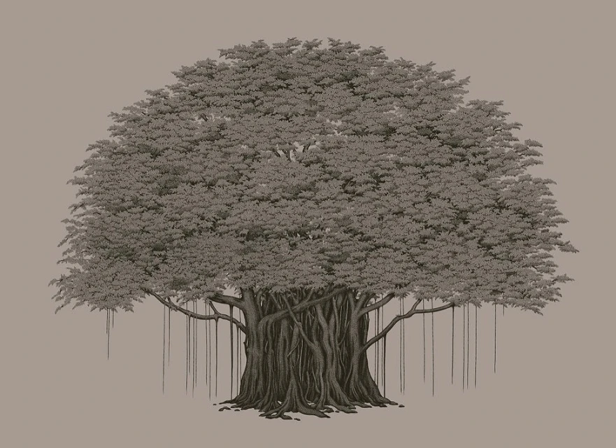 Suthipa Kamyam