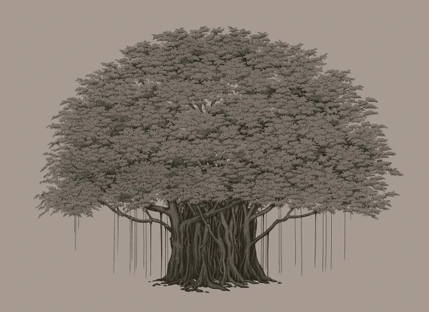 Suthipa Kamyam